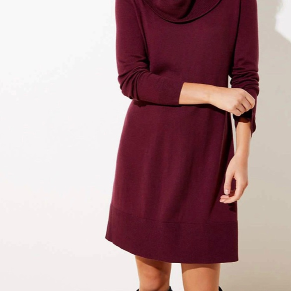 AGB sweater Dress Cowl Neck -Burgundy